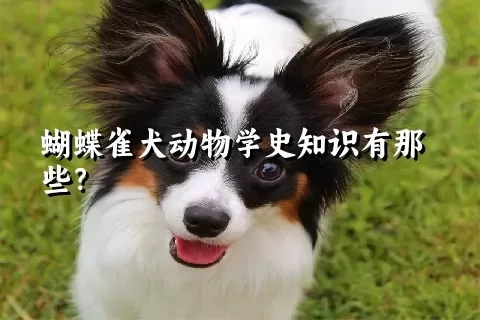 蝴蝶雀犬动物学史知识有那些？