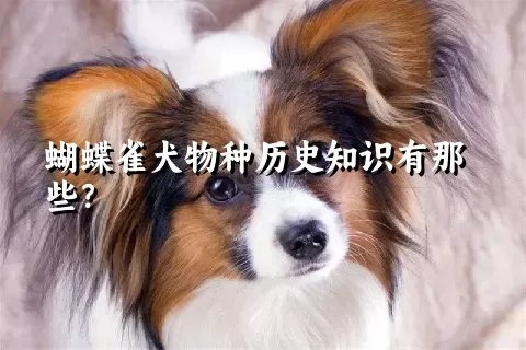 蝴蝶雀犬物种历史知识有那些？