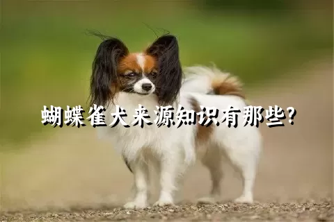 蝴蝶雀犬来源知识有那些?