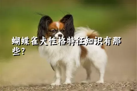 蝴蝶雀犬性格特征知识有那些？