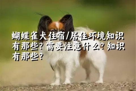 蝴蝶雀犬住宿/居住环境知识有那些？需要注意什么？知识有那些？