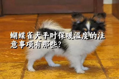 蝴蝶雀犬平时保暖温度的注意事项有那些？ 