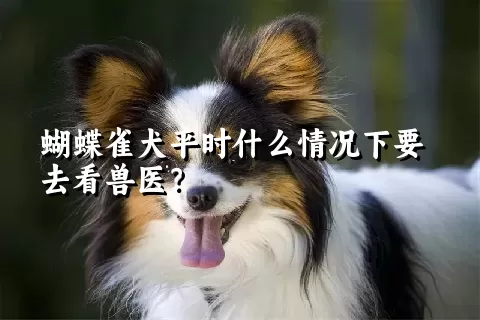 蝴蝶雀犬平时什么情况下要去看兽医？ 