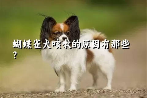 蝴蝶雀犬咳嗽的原因有那些？ 