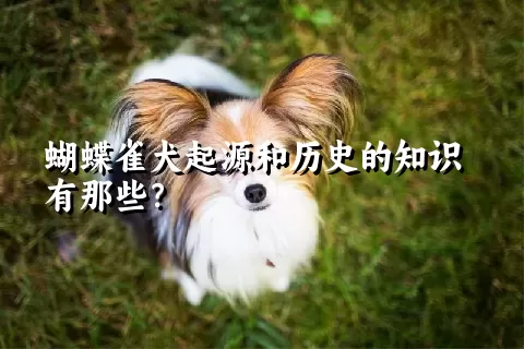 蝴蝶雀犬起源和历史的知识有那些？