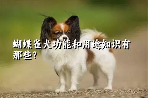 蝴蝶雀犬功能和用途知识有那些？