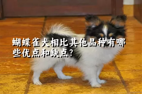 蝴蝶雀犬相比其他品种有哪些优点和缺点？