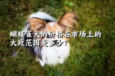 蝴蝶雀犬的价格在市场上的大致范围是多少？