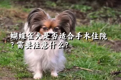 蝴蝶雀犬是否适合手术住院？需要注意什么？