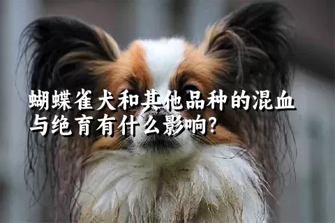 蝴蝶雀犬和其他品种的混血与绝育有什么影响？