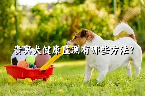 贵宾犬健康监测有哪些方法？