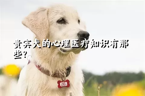 贵宾犬的心理医疗知识有那些？