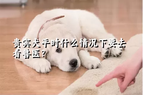 贵宾犬平时什么情况下要去看兽医？ 