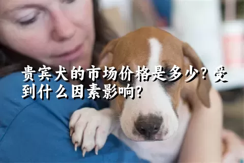 贵宾犬的市场价格是多少？受到什么因素影响？