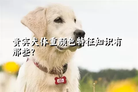 贵宾犬体重颜色特征知识有那些？