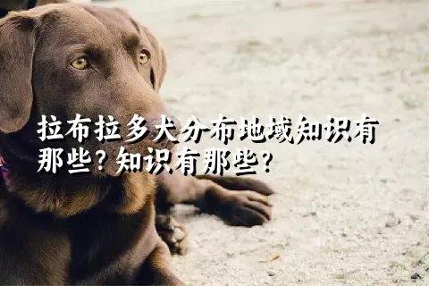 拉布拉多犬分布地域知识有那些？知识有那些？