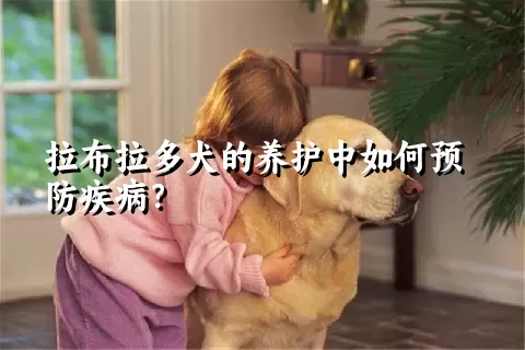 拉布拉多犬的养护中如何预防疾病？