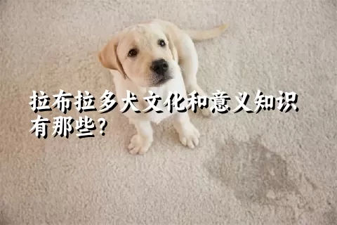 拉布拉多犬文化和意义知识有那些？