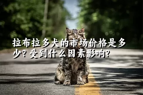 拉布拉多犬的市场价格是多少？受到什么因素影响？