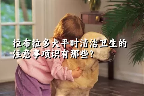 拉布拉多犬平时清洁卫生的注意事项识有那些？ 