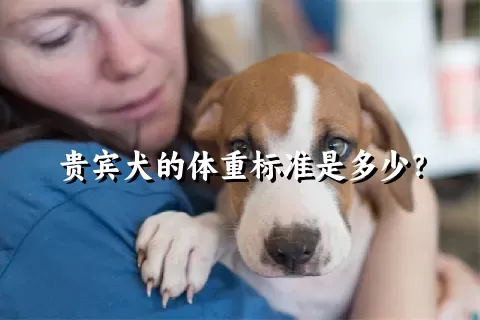 贵宾犬的体重标准是多少？