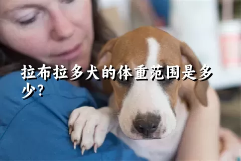 拉布拉多犬的体重范围是多少？