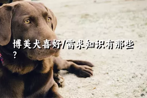 博美犬喜好/需求知识有那些？