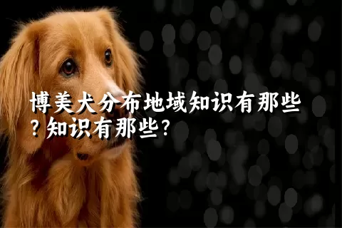 博美犬分布地域知识有那些？知识有那些？