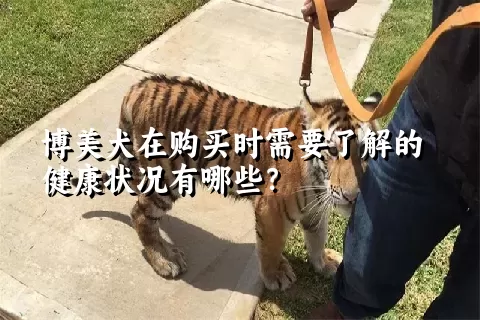 博美犬在购买时需要了解的健康状况有哪些？