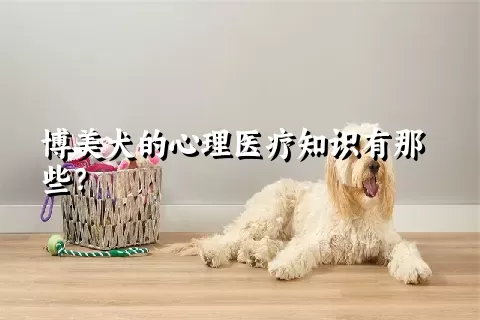 博美犬的心理医疗知识有那些？