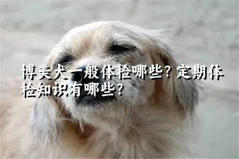 博美犬一般体检哪些？定期体检知识有哪些？