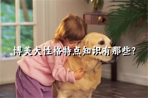 博美犬性格特点知识有那些？