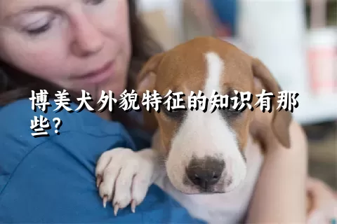 博美犬外貌特征的知识有那些？