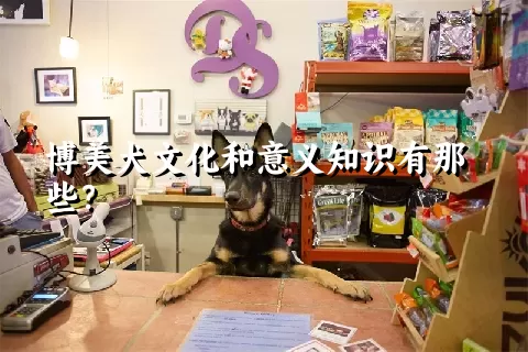 博美犬文化和意义知识有那些？