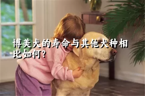 博美犬的寿命与其他犬种相比如何？