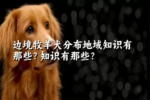 边境牧羊犬分布地域知识有那些？知识有那些？