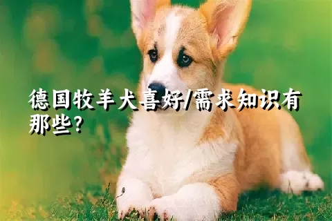 德国牧羊犬喜好/需求知识有那些？