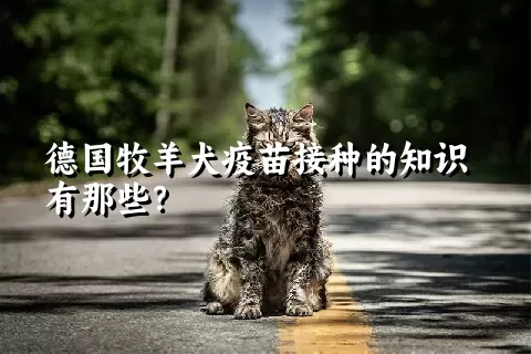 德国牧羊犬疫苗接种的知识有那些？