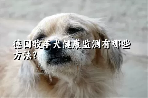 德国牧羊犬健康监测有哪些方法？