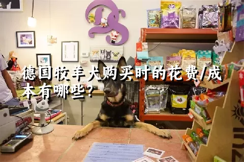 德国牧羊犬购买时的花费/成本有哪些？