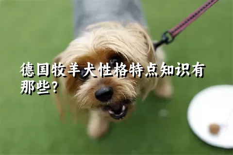 德国牧羊犬性格特点知识有那些？