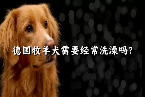 德国牧羊犬需要经常洗澡吗？