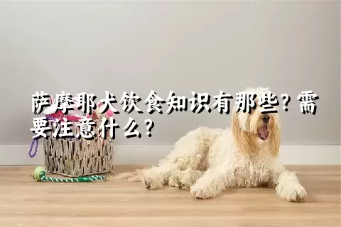 萨摩耶犬饮食知识有那些？需要注意什么？