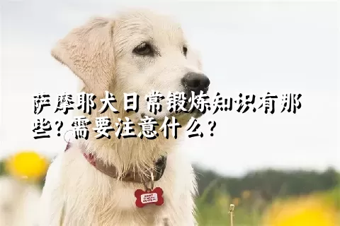 萨摩耶犬日常锻炼知识有那些？需要注意什么？