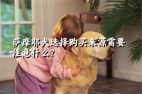 萨摩耶犬选择购买来源需要注意什么？ 