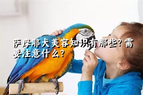 萨摩耶犬美容知识有那些？需要注意什么？