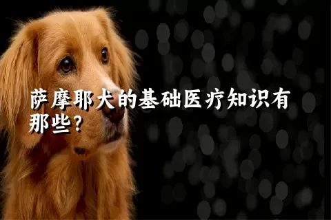 萨摩耶犬的基础医疗知识有那些？