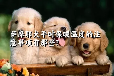 萨摩耶犬平时保暖温度的注意事项有那些？ 