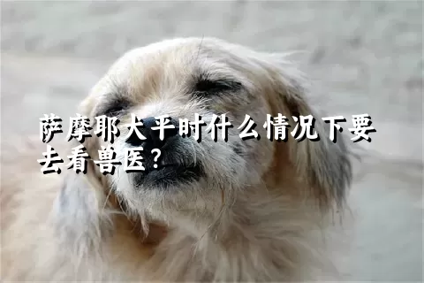 萨摩耶犬平时什么情况下要去看兽医？ 