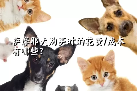 萨摩耶犬购买时的花费/成本有哪些？